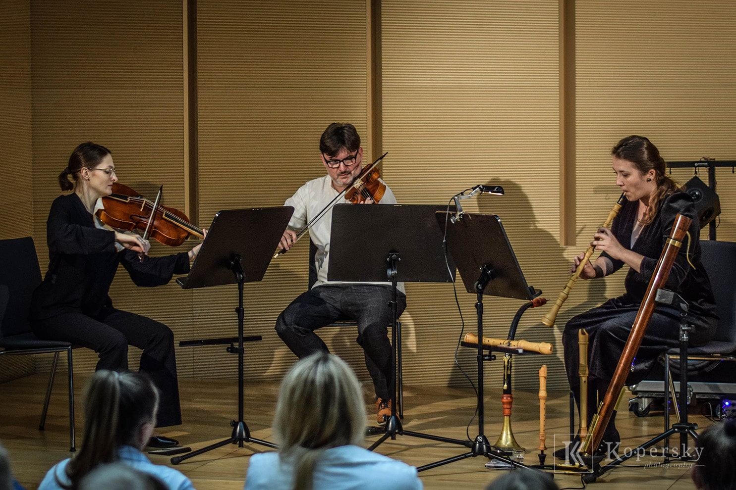Zdjęcie – Koncert